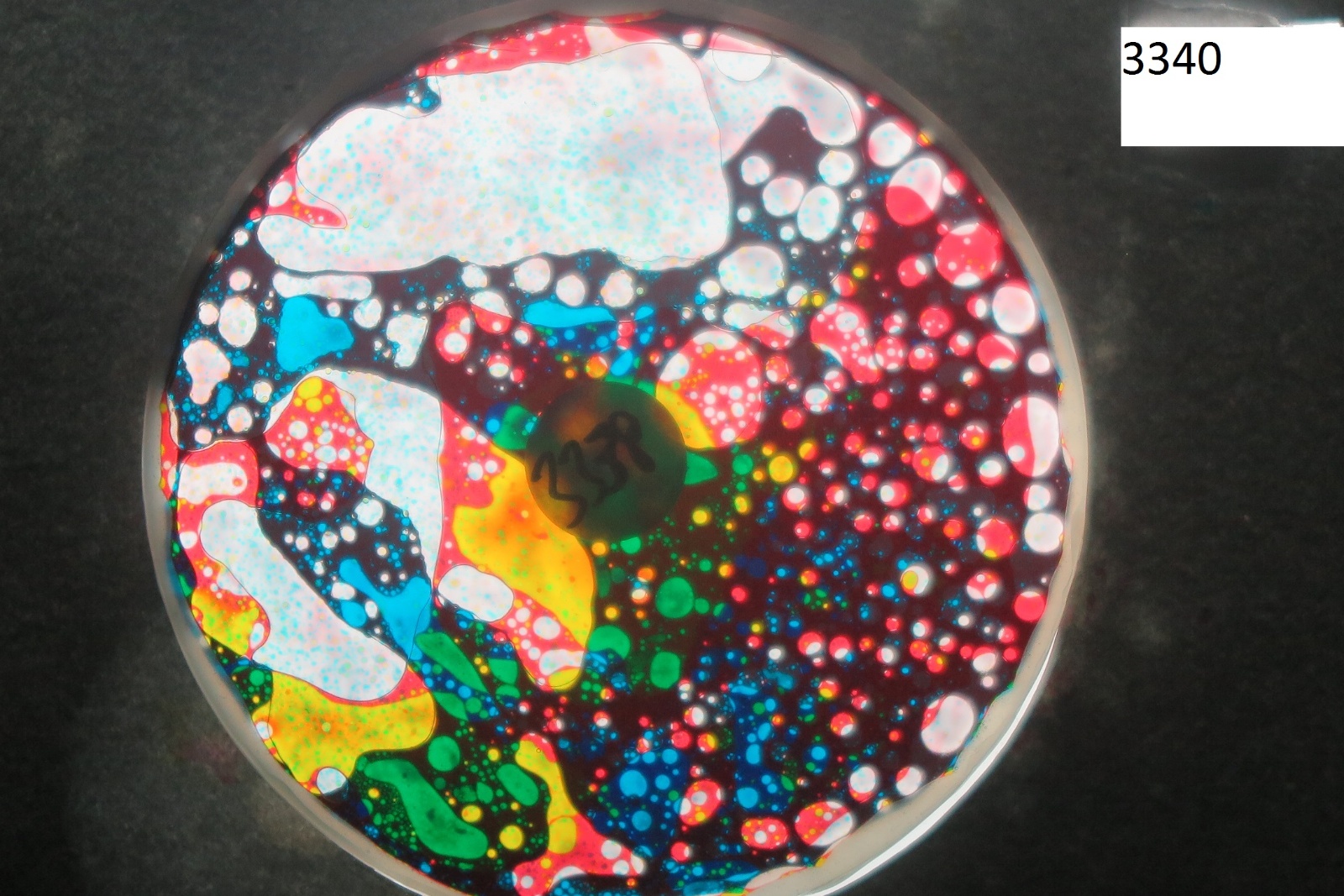 BV3340 bubble vision oil wheel